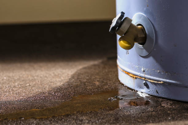 Best Emergency water damage restoration  in Princeton, WI