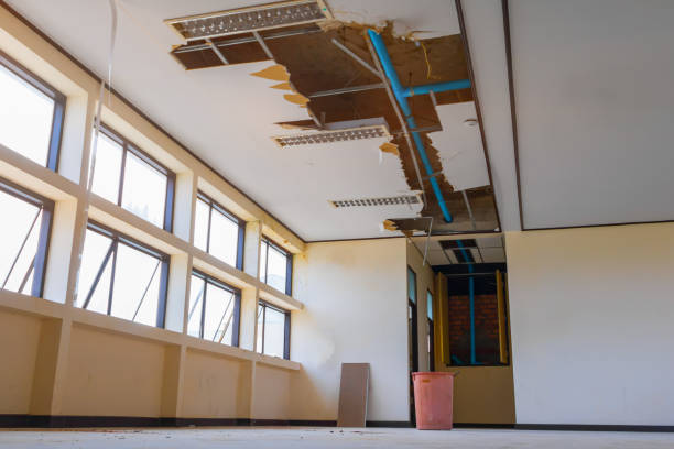 Best 24/7 water damage repair  in Princeton, WI