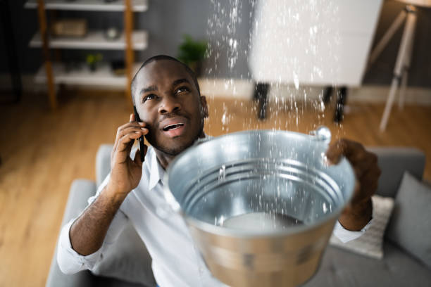 Best Ceiling water damage repair  in Princeton, WI