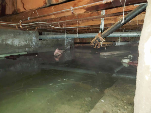 Best Fire Damage Restoration  in Princeton, WI