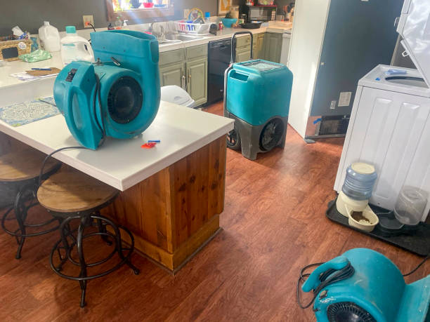 Best 24-hour water damage restoration  in Princeton, WI