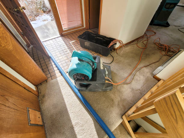  Princeton, WI Water damage restoration Pros