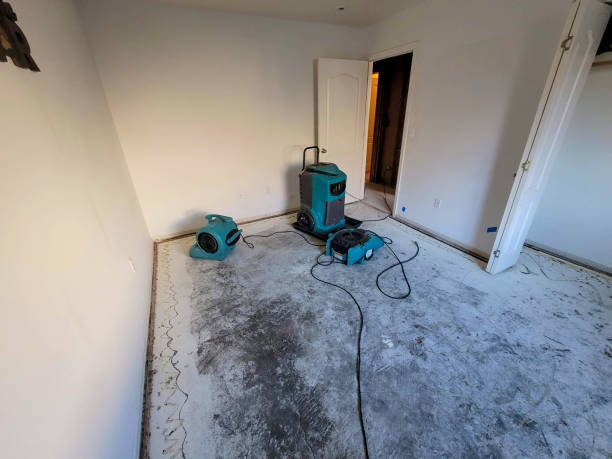 Best Professional water damage repair  in Princeton, WI