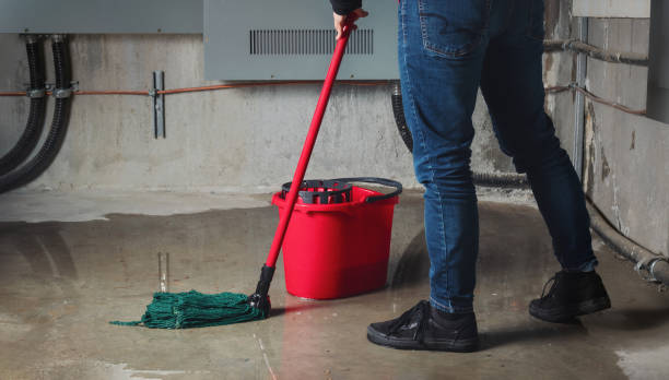 Best Basement water damage restoration  in Princeton, WI