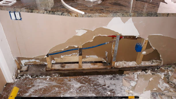Best Carpet water damage restoration  in Princeton, WI