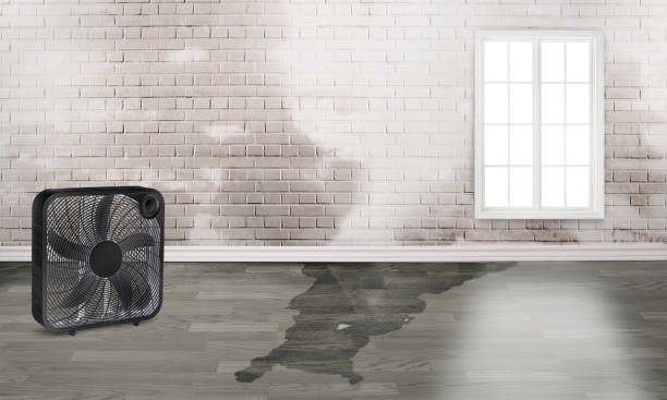 Princeton, WI Water damage restoration Company