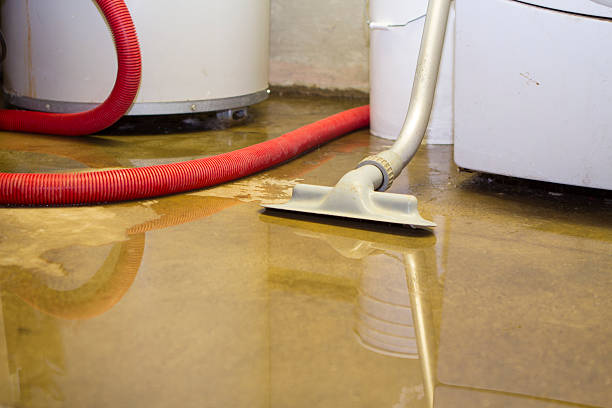 Best Water damage contractors near me  in Princeton, WI