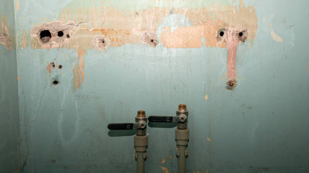 Best Water damage cleanup near me  in Princeton, WI