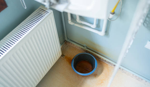 Best Ceiling water damage repair  in Princeton, WI