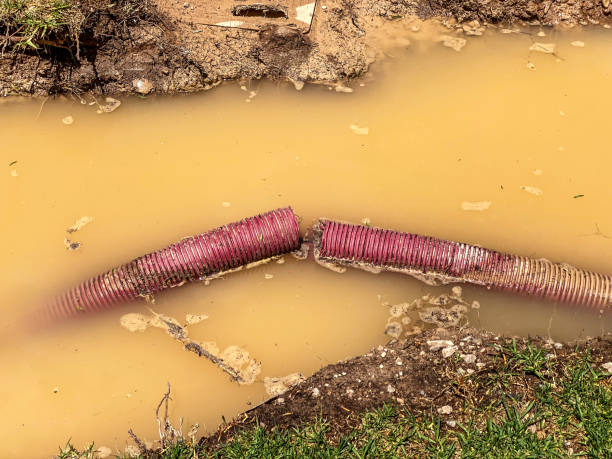 Best Mold removal after water damage  in Princeton, WI