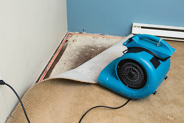 Local water damage restoration in Princeton, WI